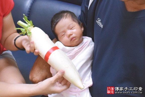 剃胎毛、滿月剃頭、嬰兒剃頭、嬰兒理髮、嬰兒剃髮、嬰兒剃胎毛、嬰兒滿月剃頭、寶寶剃頭、剃胎毛儀式、剃胎毛吉祥話、滿月剃頭儀式、滿月剃頭吉祥話、寶寶剃胎毛、寶寶滿月剃頭理髮、 屏東萬丹鄉剃胎毛、屏東萬丹鄉滿月剃頭、 屏東萬丹鄉嬰兒剃頭剃胎毛、屏東萬丹鄉嬰兒理髮、屏東萬丹鄉嬰兒剃髮、施寶寶(屏東萬丹鄉到府嬰兒寶寶滿月剃頭理髮、免費到府嬰兒剃胎毛儀式吉祥話)。到府剃頭剃胎毛主持、專業拍照、DVD光碟、證書。★購買「臍帶章、肚臍章、胎毛筆刷印章」贈送：剃頭、收涎、抓周，三選一。2017.08.11  照片10